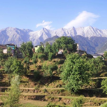 مبيت وإفطار دارامشالا Mcleodganj Diaries المظهر الخارجي الصورة